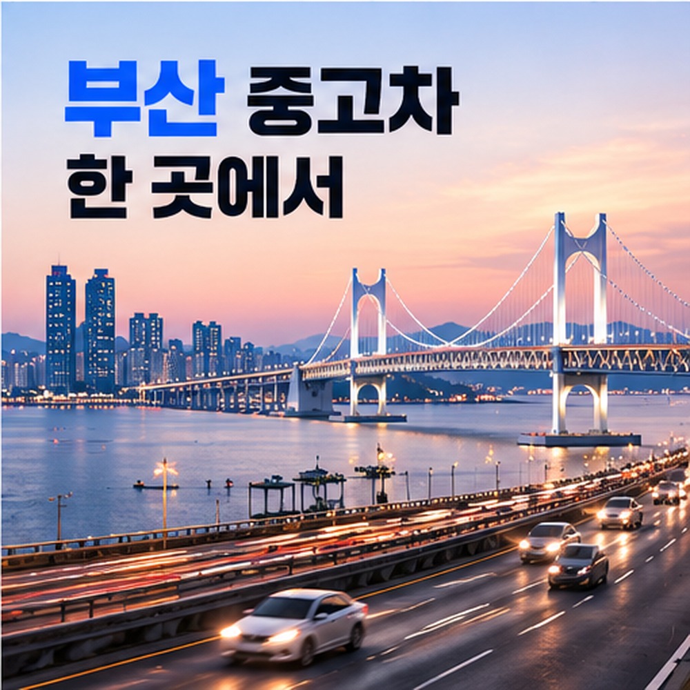 부산중고차리스, 운용·금융 리스·세무 선택 가이드